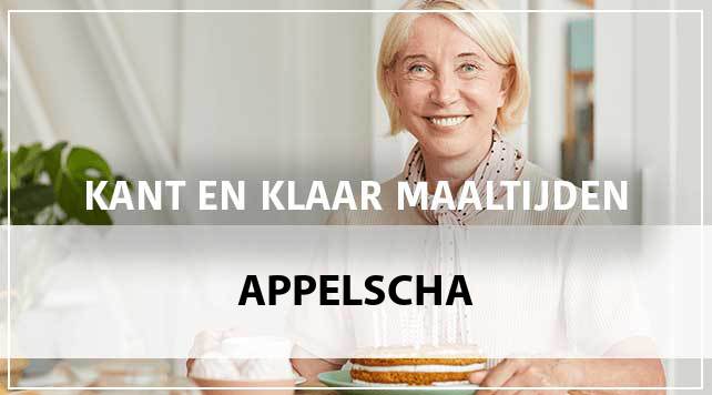 kant-en-klaar-maaltijden-appelscha